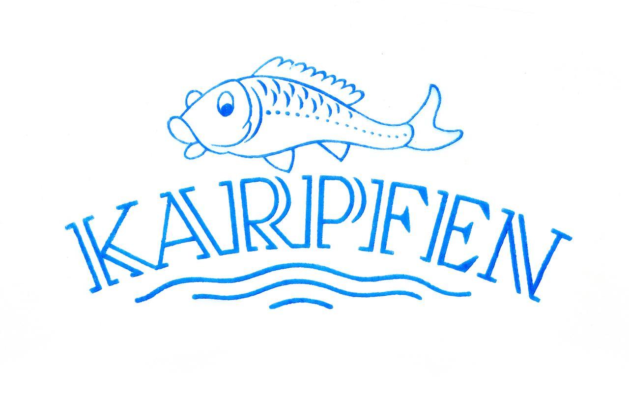 Hotel & Restaurant Zum Karpfen Obernburg am Main Buitenkant foto